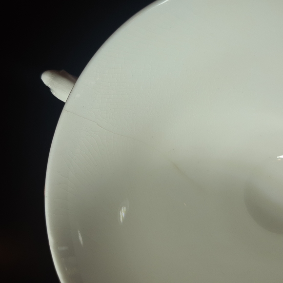 Queen Anne Bone China Made in England Teacup & Saucer # 8200 - Picture 7 of 8